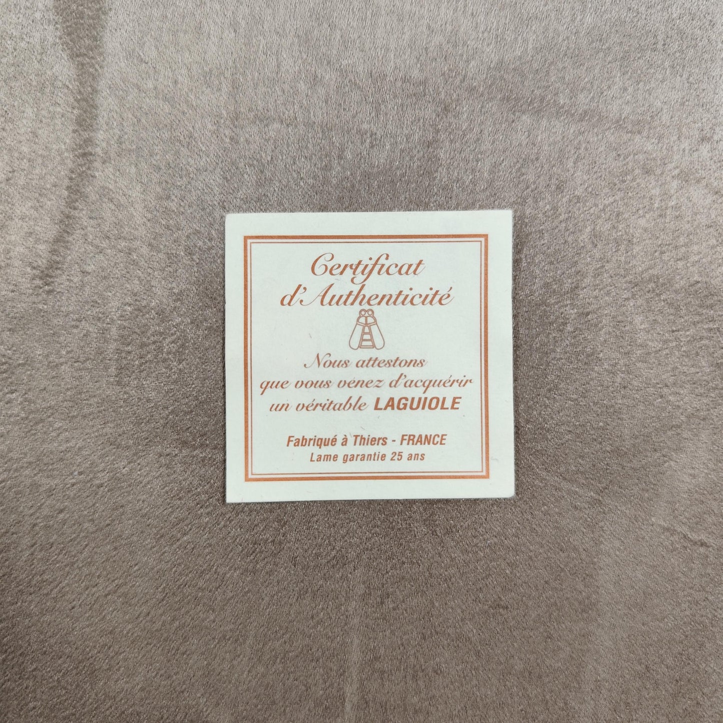 Ménagère 6 personnes 24 pièces Laguiole en inox en écrin Vintage 1980