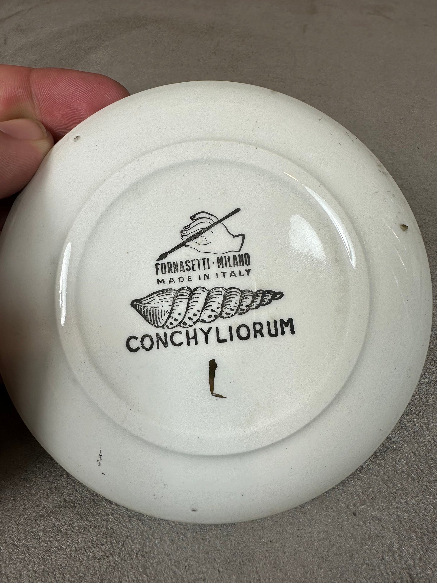VERY RARE Cendrier coupelle Piero Fornasetti-Milano Conchyliorum Buccinum Magnum