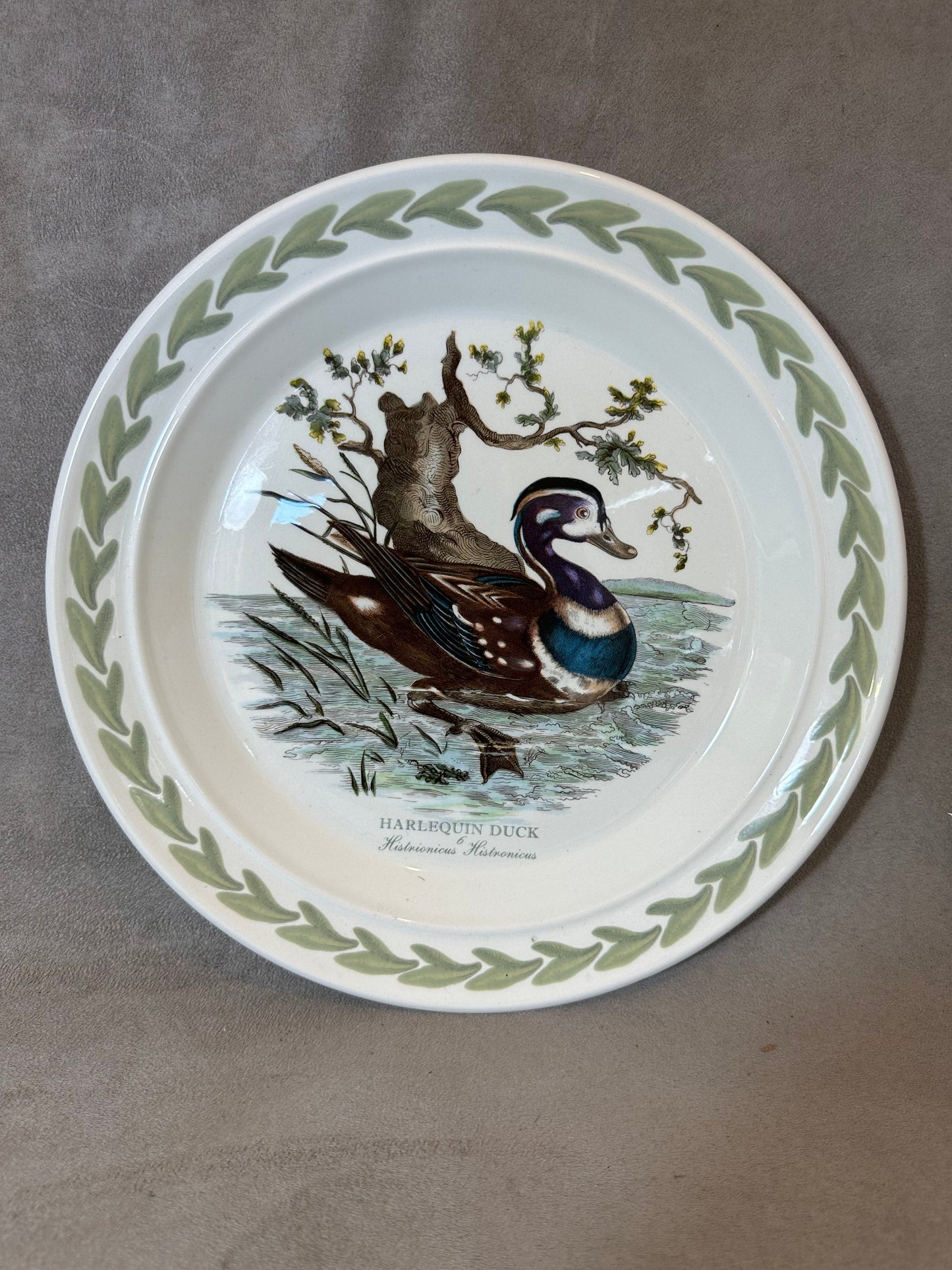Earthenware Plate, Harlequin Duck, by Portmeirion, Made in England, Vintage 1970