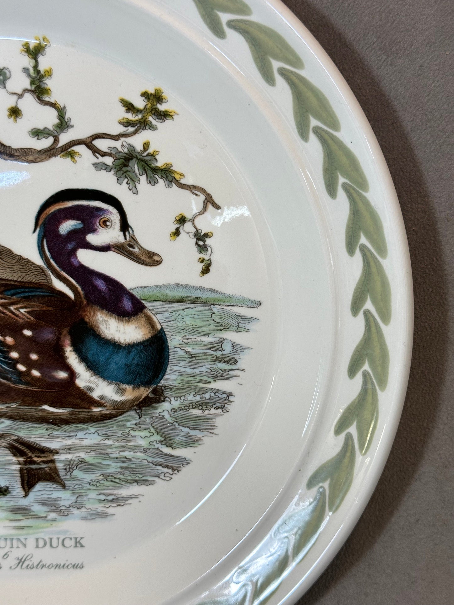 Earthenware Plate, Harlequin Duck, by Portmeirion, Made in England, Vintage 1970