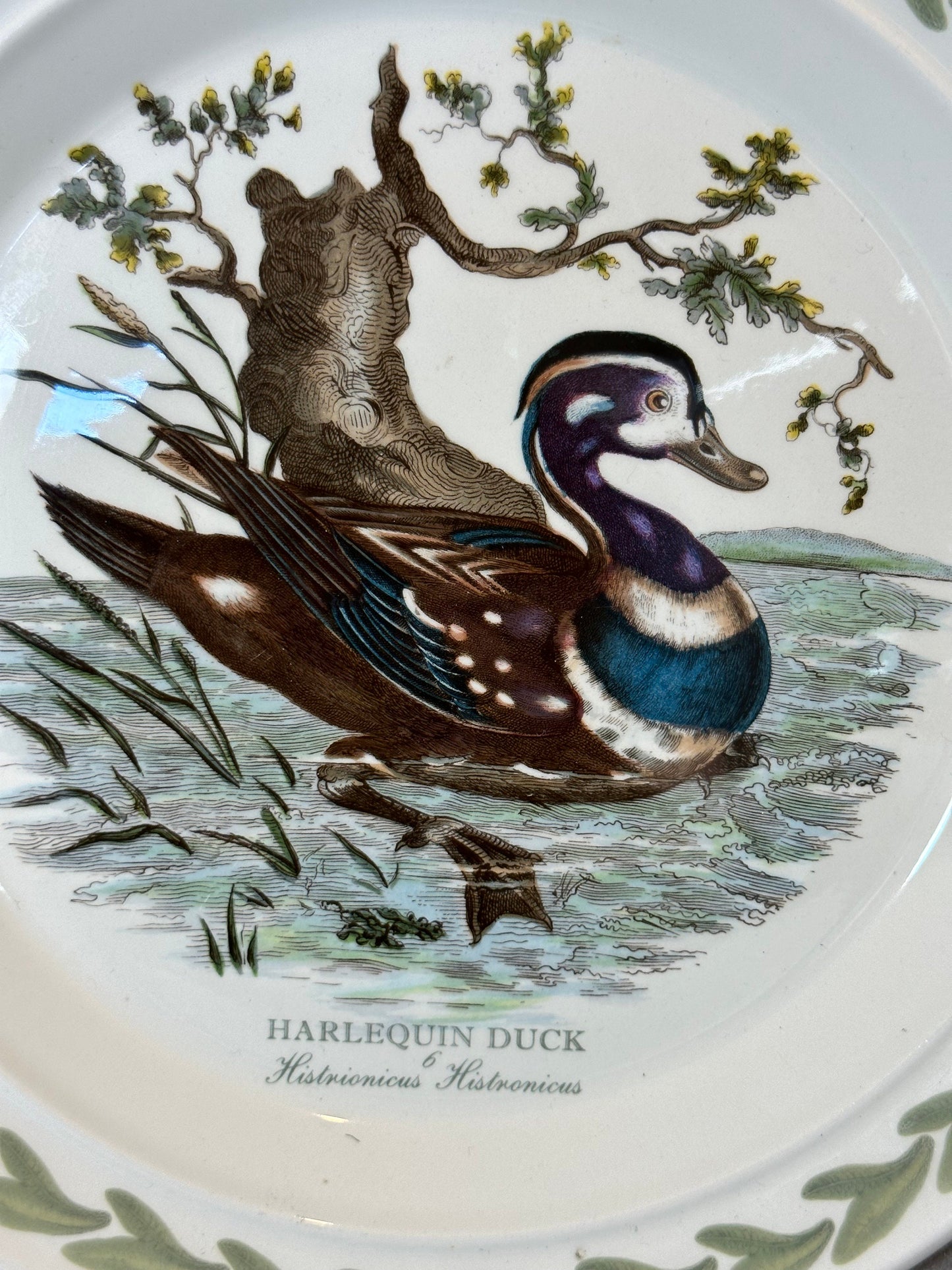 Earthenware Plate, Harlequin Duck, by Portmeirion, Made in England, Vintage 1970