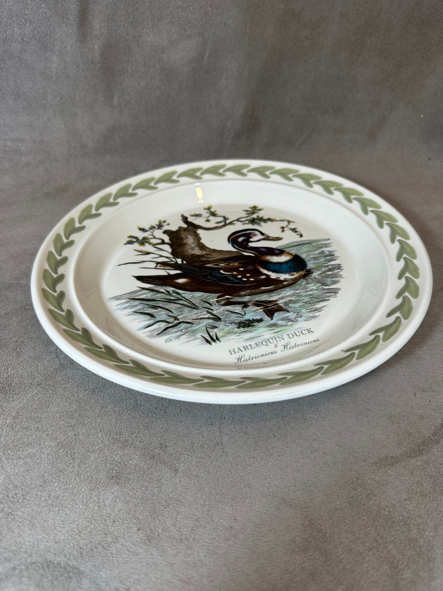 Earthenware Plate, Harlequin Duck, by Portmeirion, Made in England, Vintage 1970