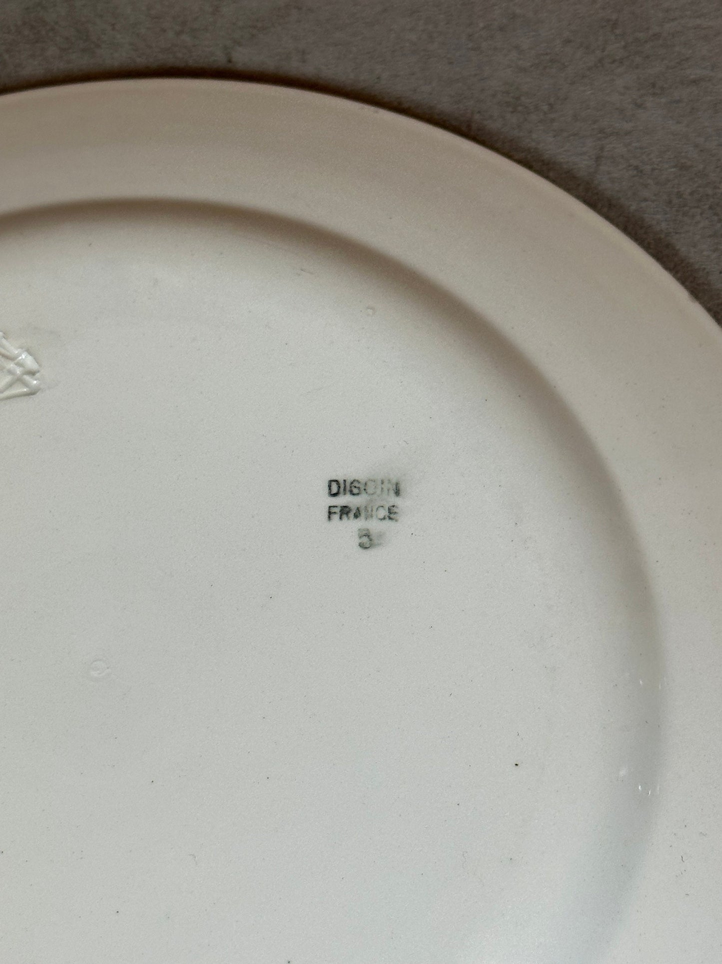 Earthenware Plate Public Assistance (DDASS) by Digoin, Made in France, Vintage 1970