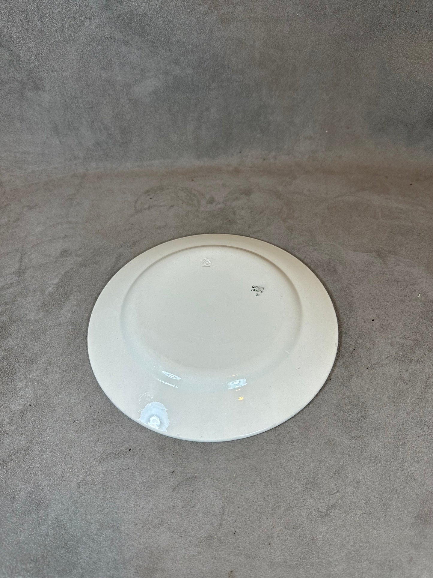 Earthenware Plate Public Assistance (DDASS) by Digoin, Made in France, Vintage 1970
