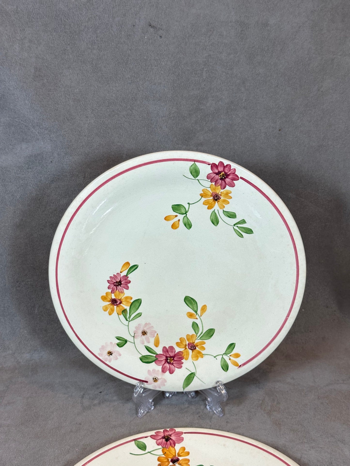 Set of 2 Sarreguemines Earthenware Plates, Anita Line Flower Pattern, Made in France, Vintage 1970