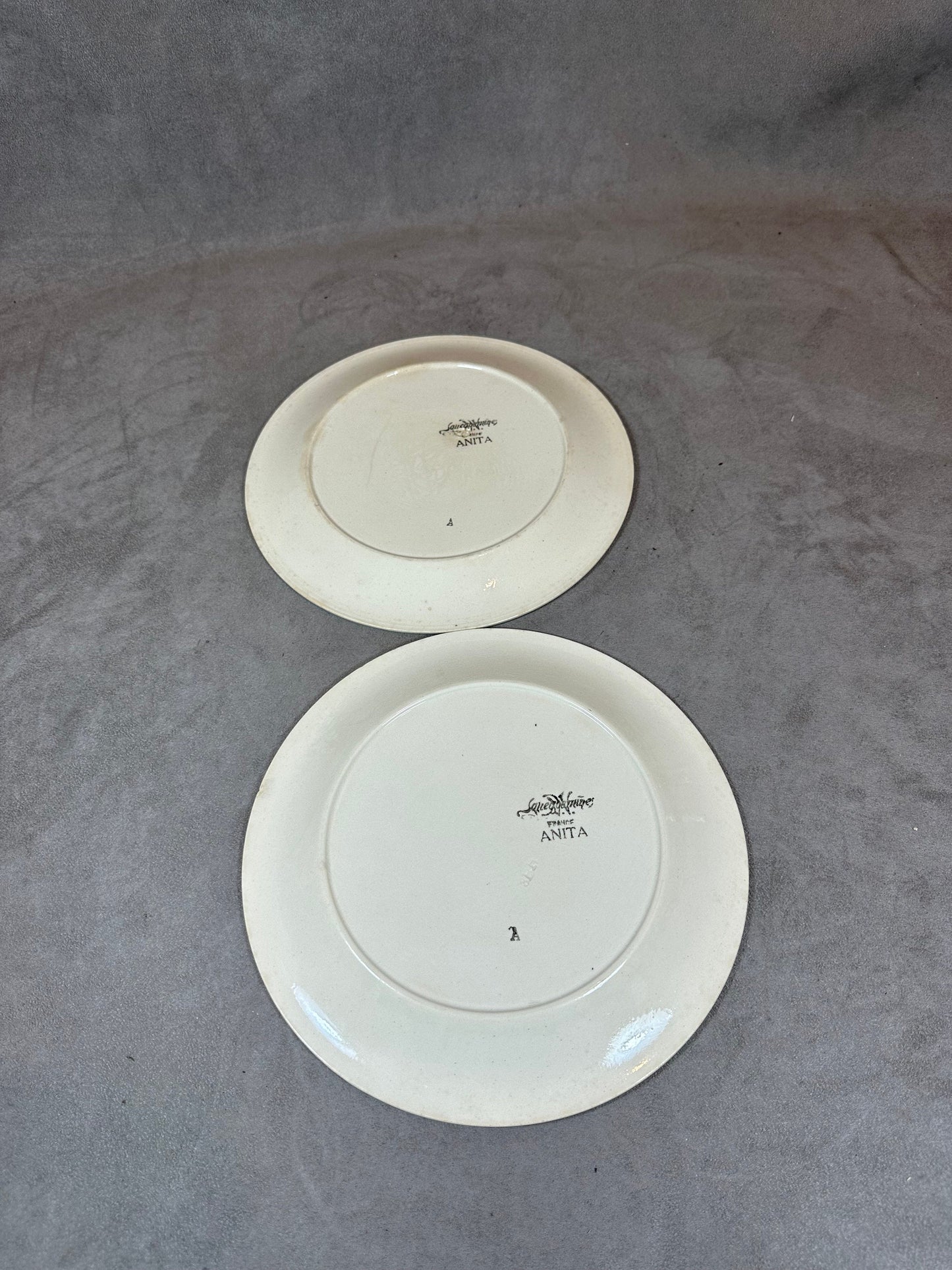 Set of 2 Sarreguemines Earthenware Plates, Anita Line Flower Pattern, Made in France, Vintage 1970