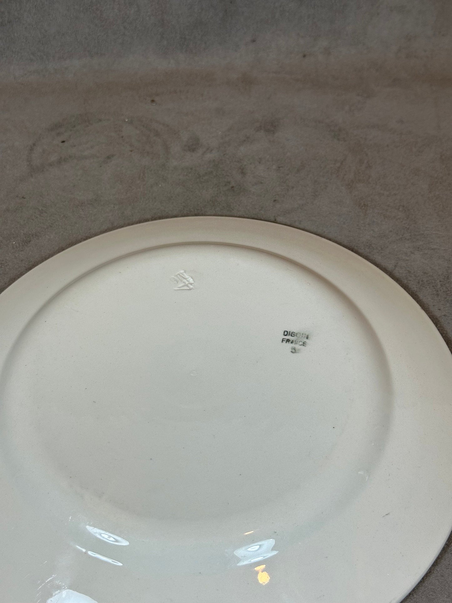Earthenware Plate Public Assistance (DDASS) by Digoin, Made in France, Vintage 1970