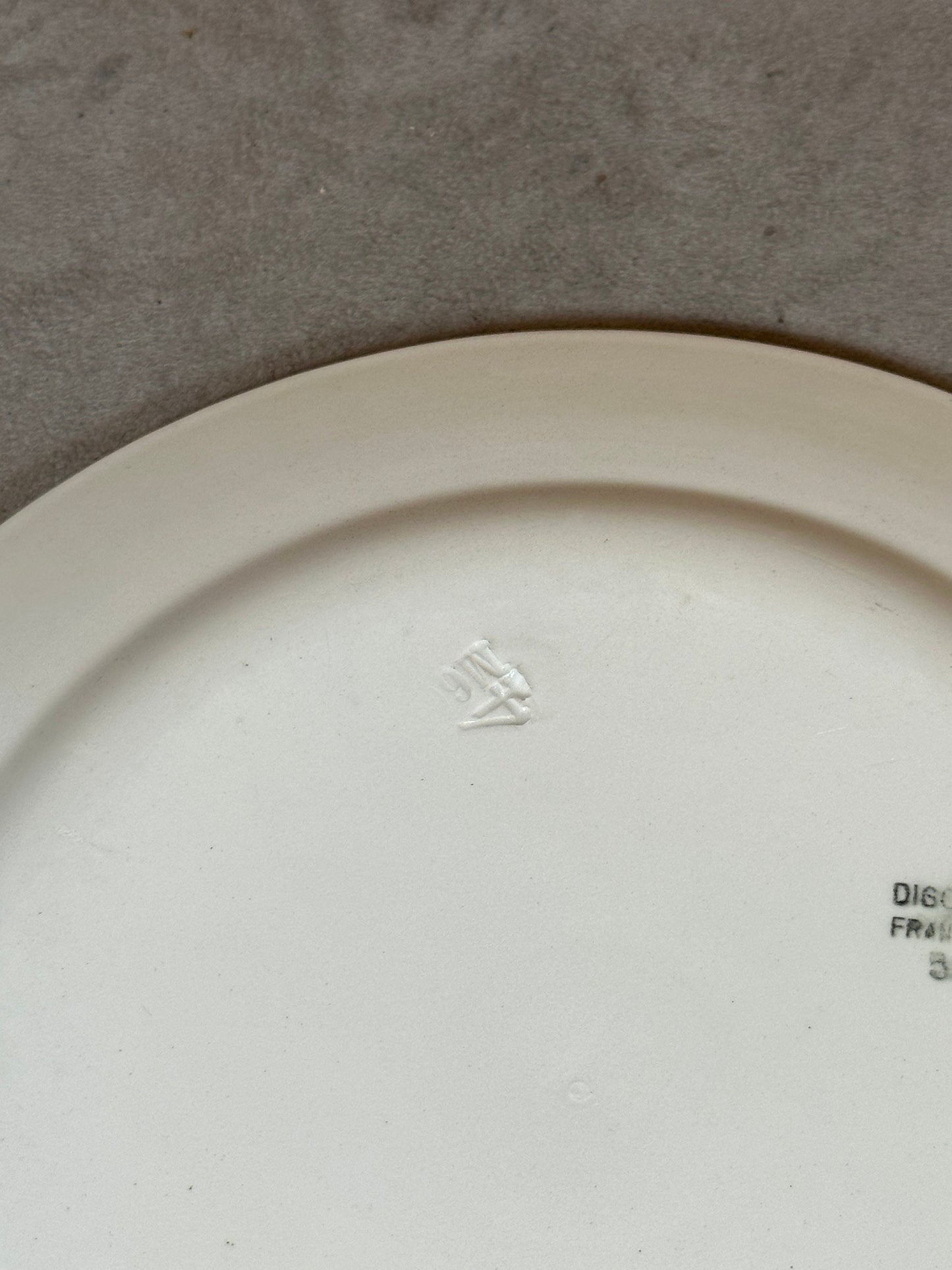 Earthenware Plate Public Assistance (DDASS) by Digoin, Made in France, Vintage 1970