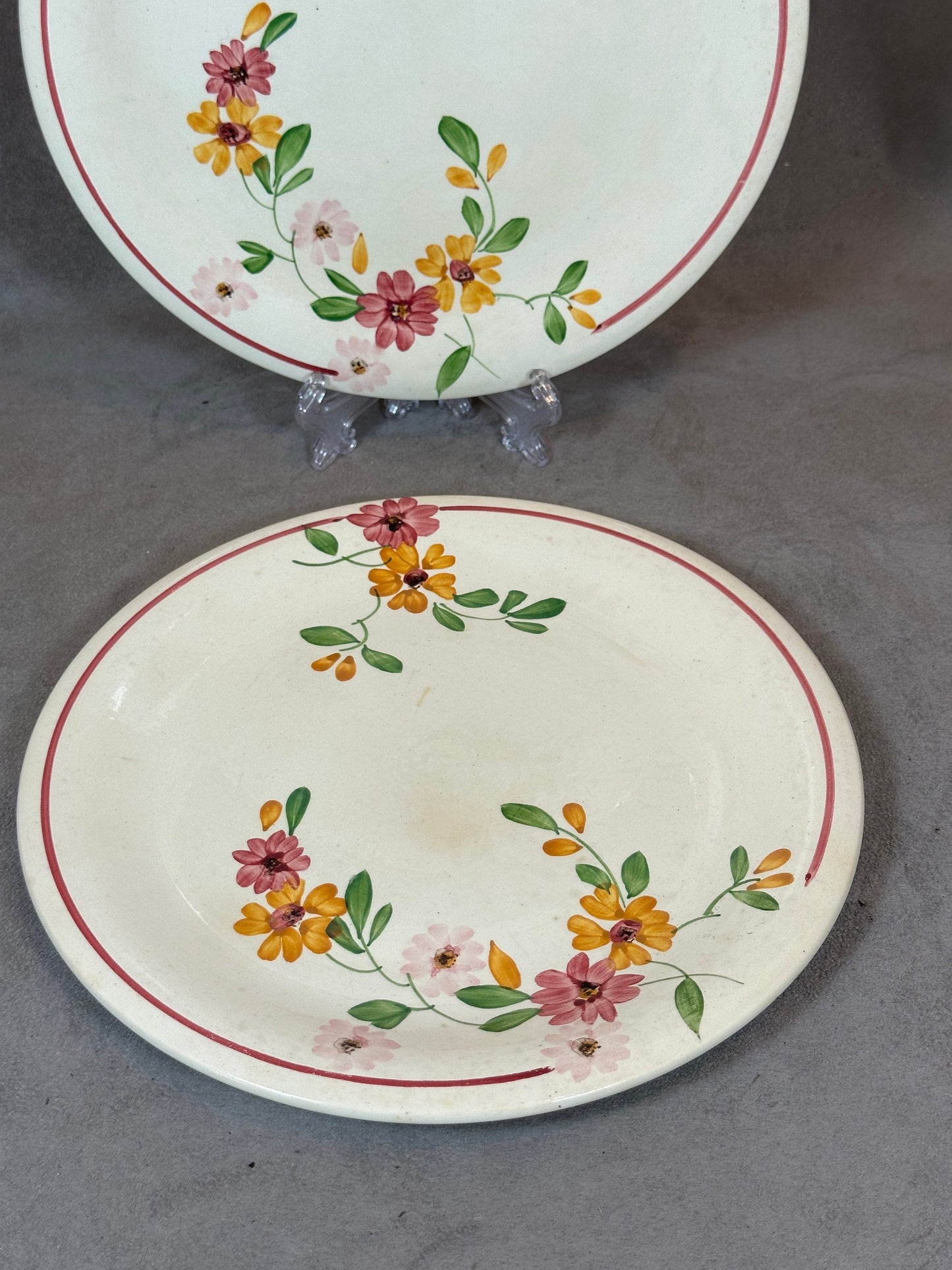 Set of 2 Sarreguemines Earthenware Plates, Anita Line Flower Pattern, Made in France, Vintage 1970