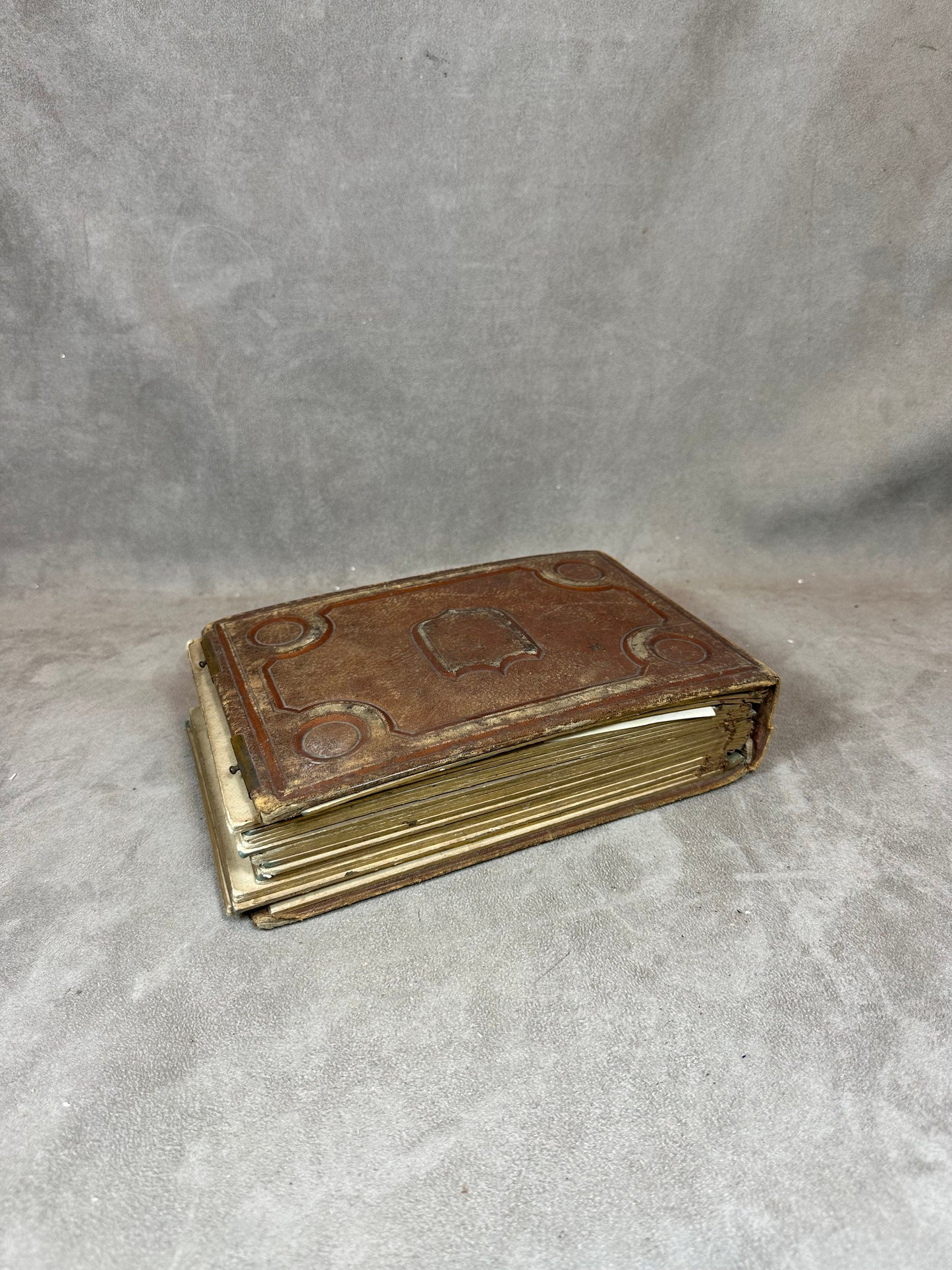 RARE Magnificent photo album in brown leather and metal Made in France 1890s