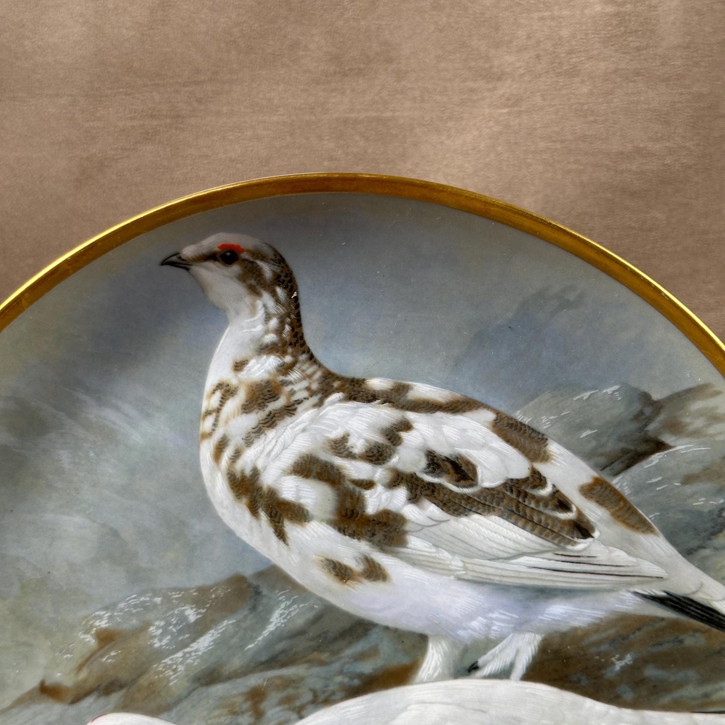 Beautiful decorative plate "Gamebird of the World" by Basil Ede made by Haviland in Limoges porcelain for Franklin Porcelain 1979