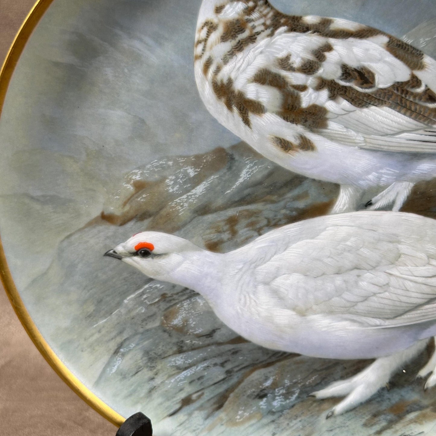 Beautiful decorative plate "Gamebird of the World" by Basil Ede made by Haviland in Limoges porcelain for Franklin Porcelain 1979