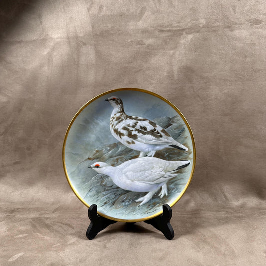 Beautiful decorative plate "Gamebird of the World" by Basil Ede made by Haviland in Limoges porcelain for Franklin Porcelain 1979