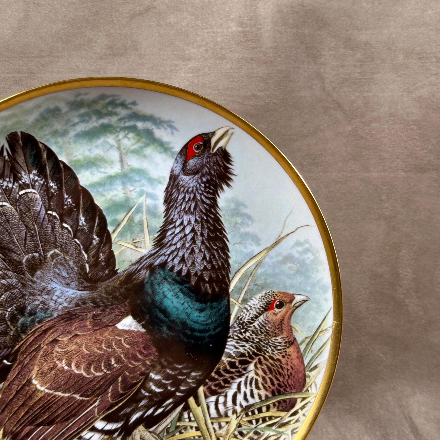 Beautiful decorative plate "Gamebird of the World" by Basil Ede made by Haviland in Limoges porcelain for Franklin Porcelain 1979