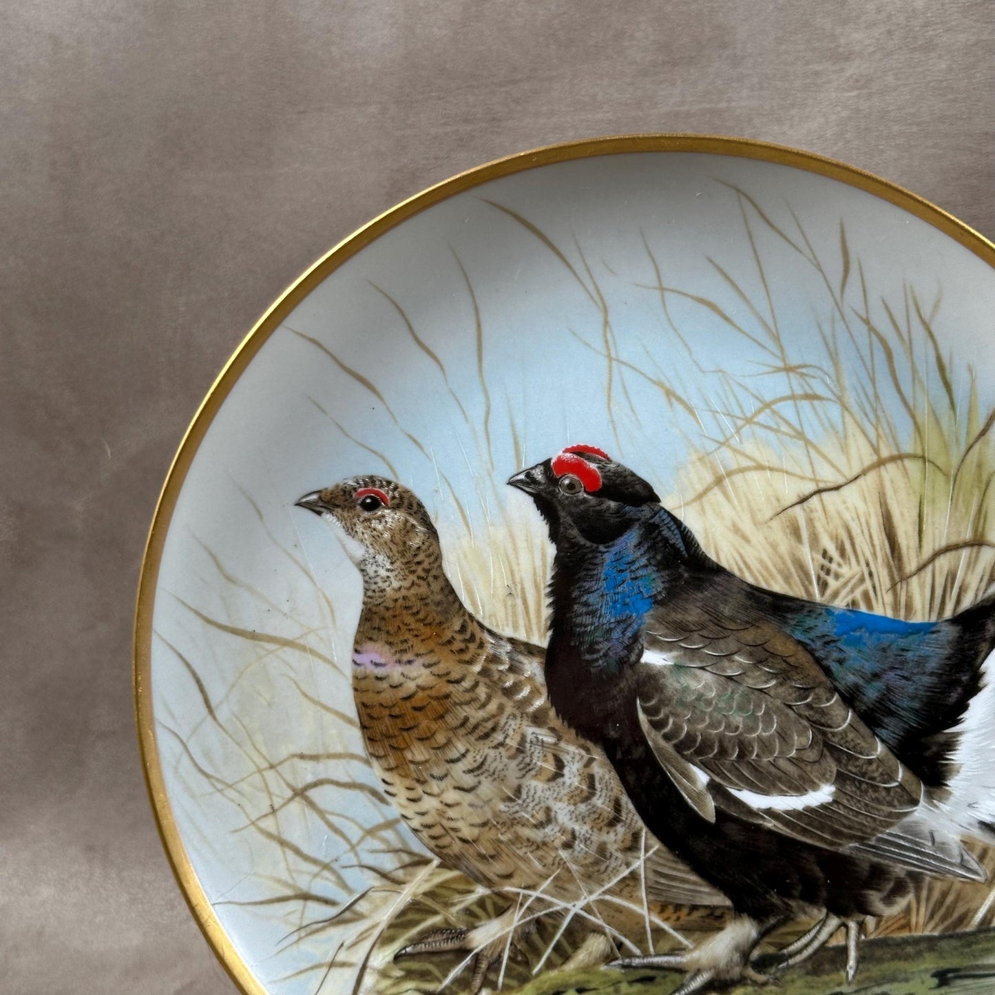 Beautiful decorative plate "Gamebird of the World" by Basil Ede made by Haviland in Limoges porcelain for Franklin Porcelain 1979