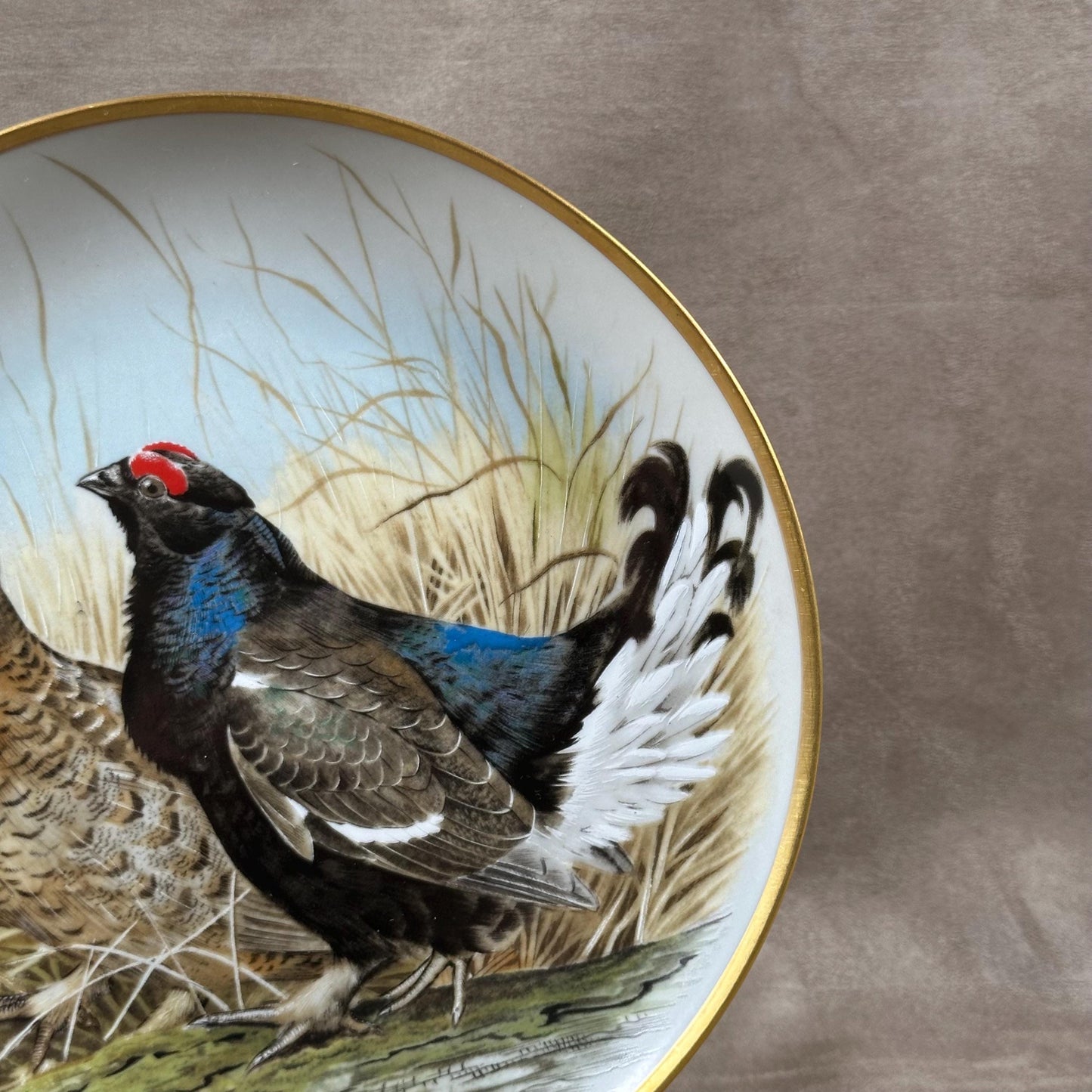 Beautiful decorative plate "Gamebird of the World" by Basil Ede made by Haviland in Limoges porcelain for Franklin Porcelain 1979