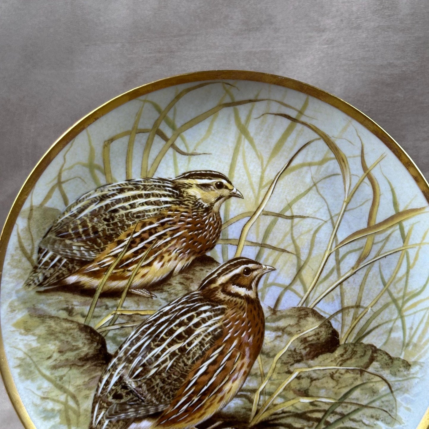 Beautiful decorative plate "Gamebird of the World" by Basil Ede made by Haviland in Limoges porcelain for Franklin Porcelain 1979