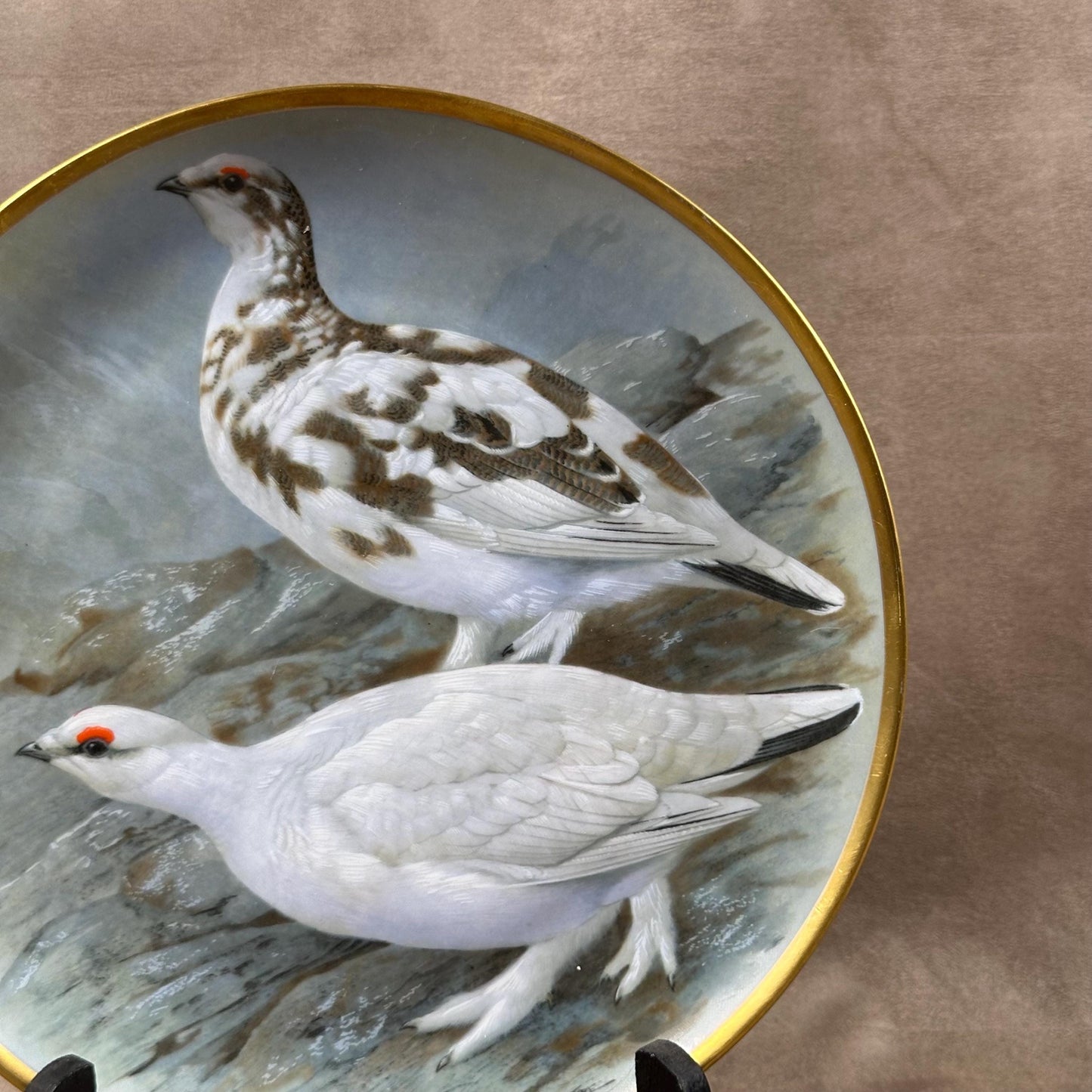 Beautiful decorative plate "Gamebird of the World" by Basil Ede made by Haviland in Limoges porcelain for Franklin Porcelain 1979