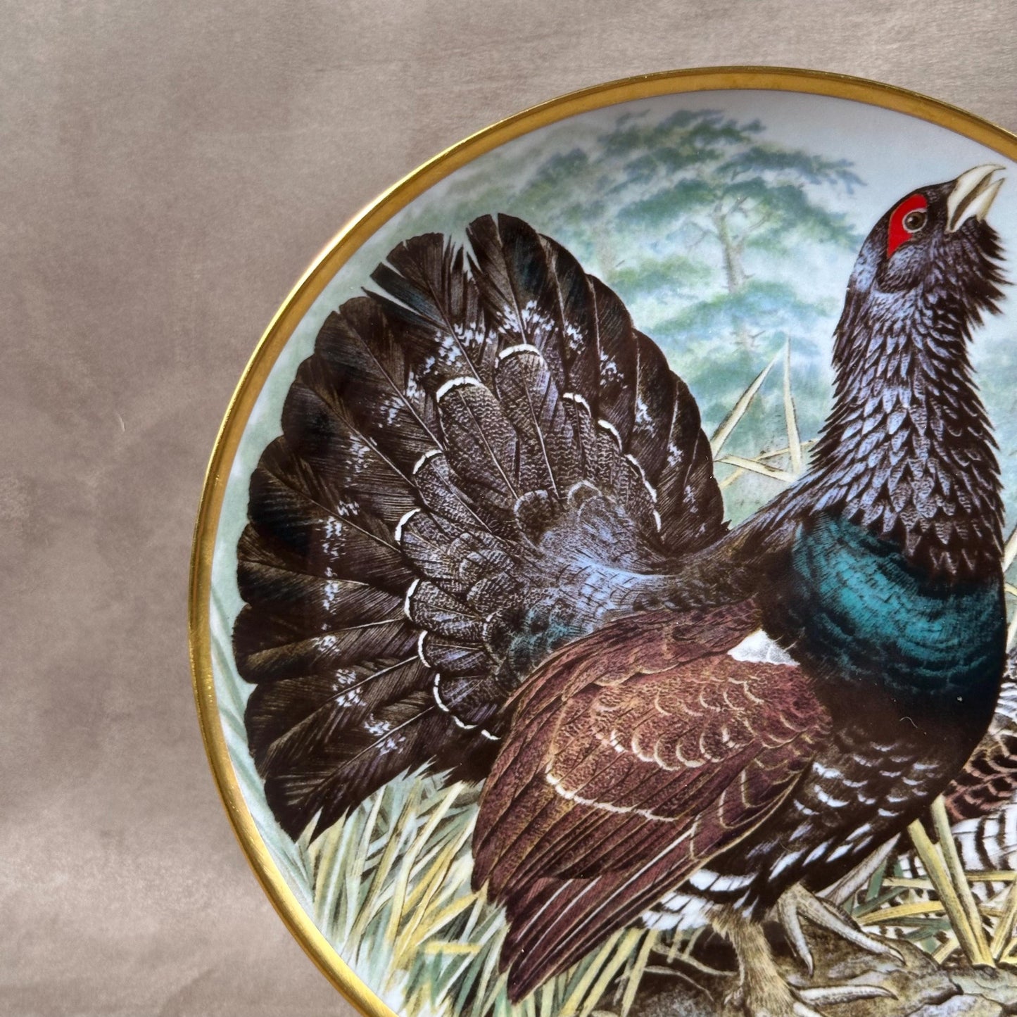 Beautiful decorative plate "Gamebird of the World" by Basil Ede made by Haviland in Limoges porcelain for Franklin Porcelain 1979
