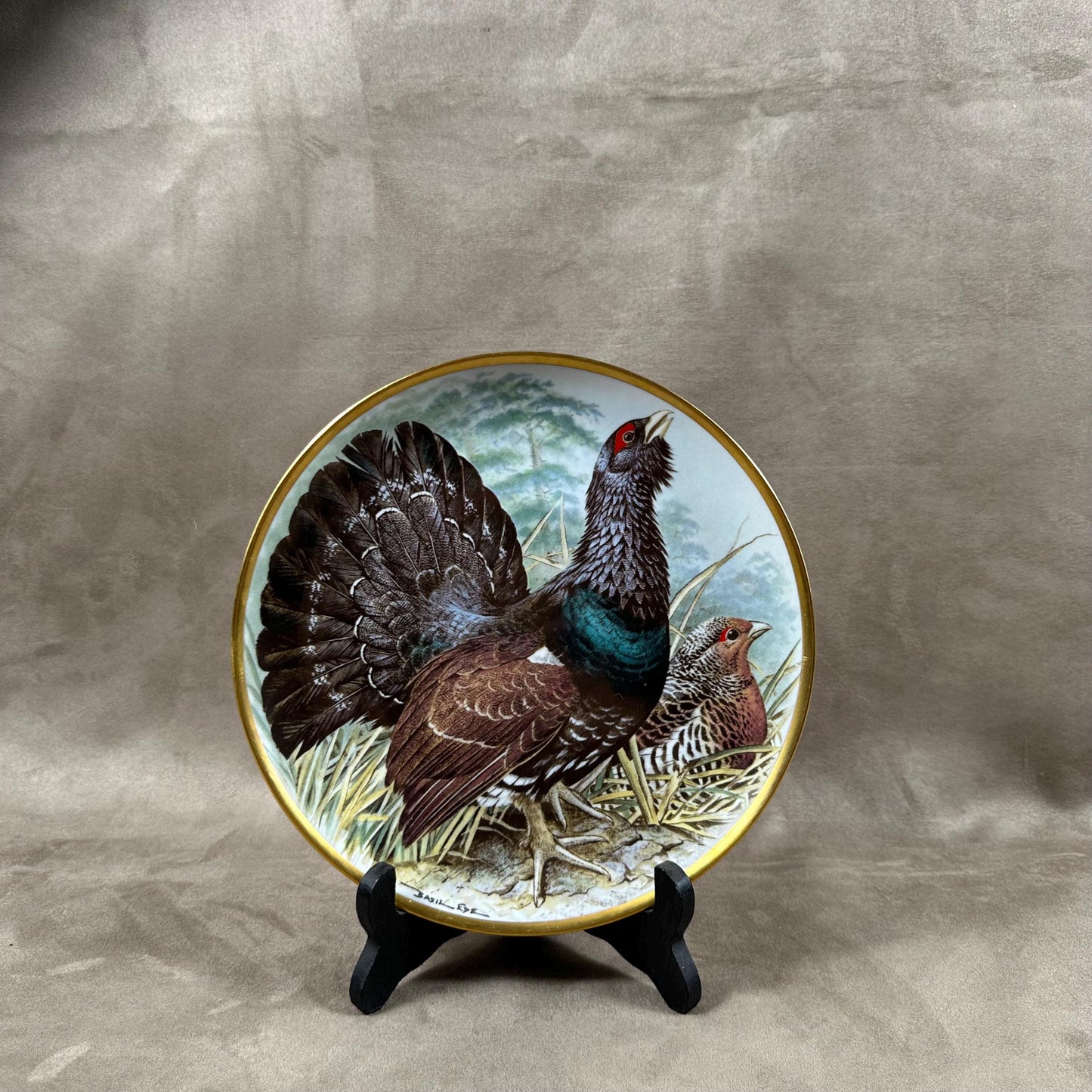 Beautiful decorative plate "Gamebird of the World" by Basil Ede made by Haviland in Limoges porcelain for Franklin Porcelain 1979