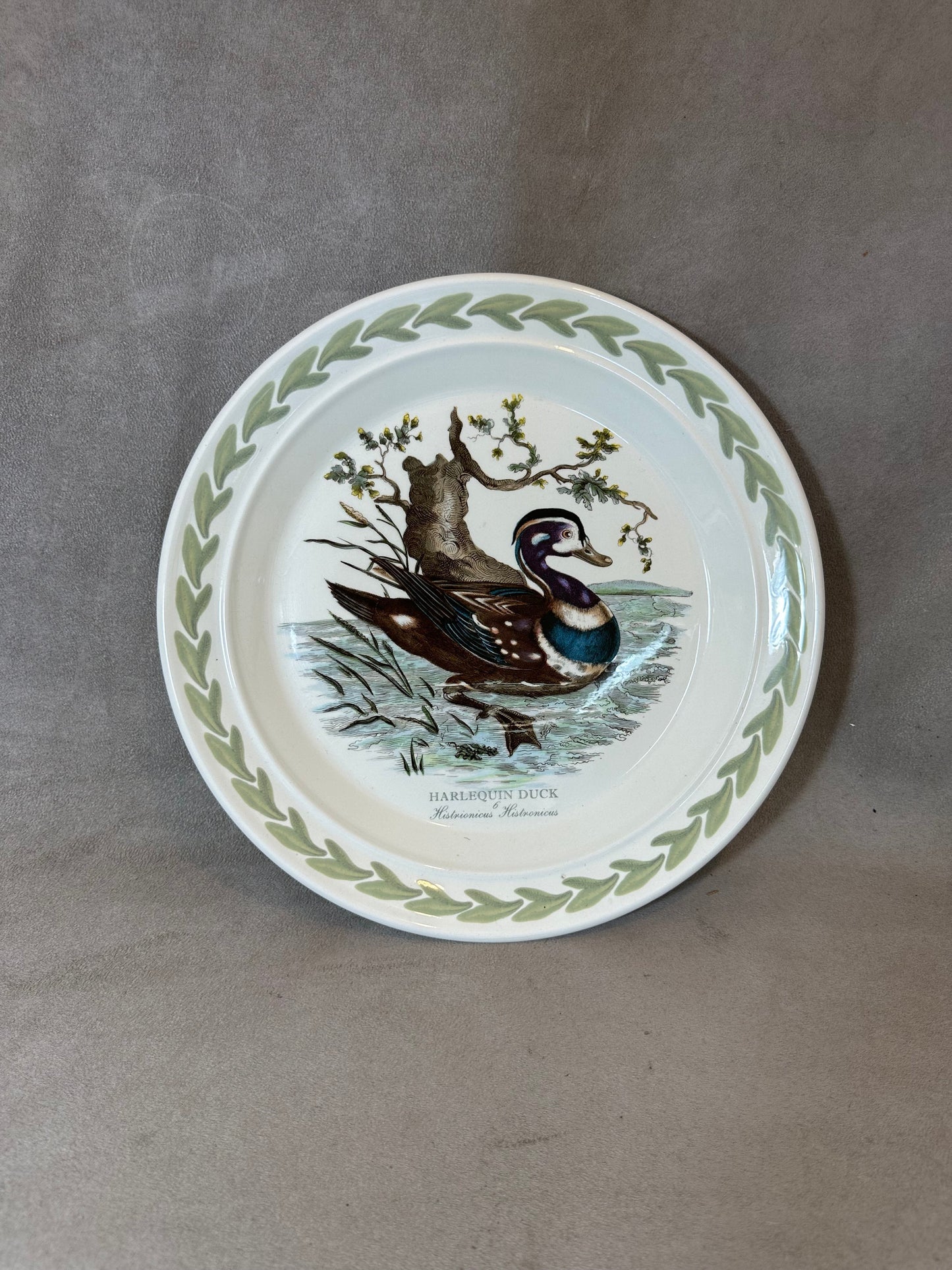 Earthenware Plate, Harlequin Duck, by Portmeirion, Made in England, Vintage 1970