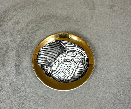 VERY RARE Cendrier coupelle Piero Fornasetti-Milano Conchyliorum Buccinum Magnum