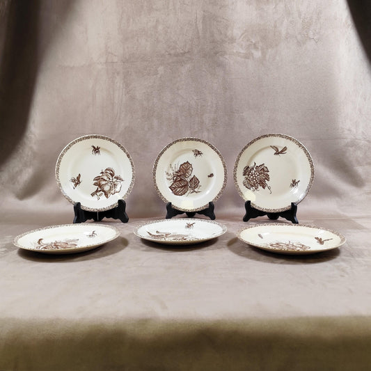 Série de 6 assiettes à décor de nature par Terre de Fer Choisy le Roi Made in France Vintage 1970