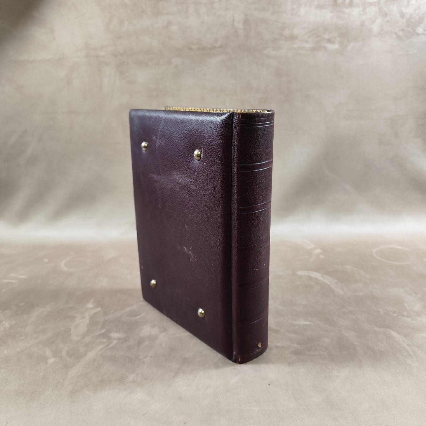 RARE Magnifique album photo en cuir marron et métal Made in France Vintage 1890