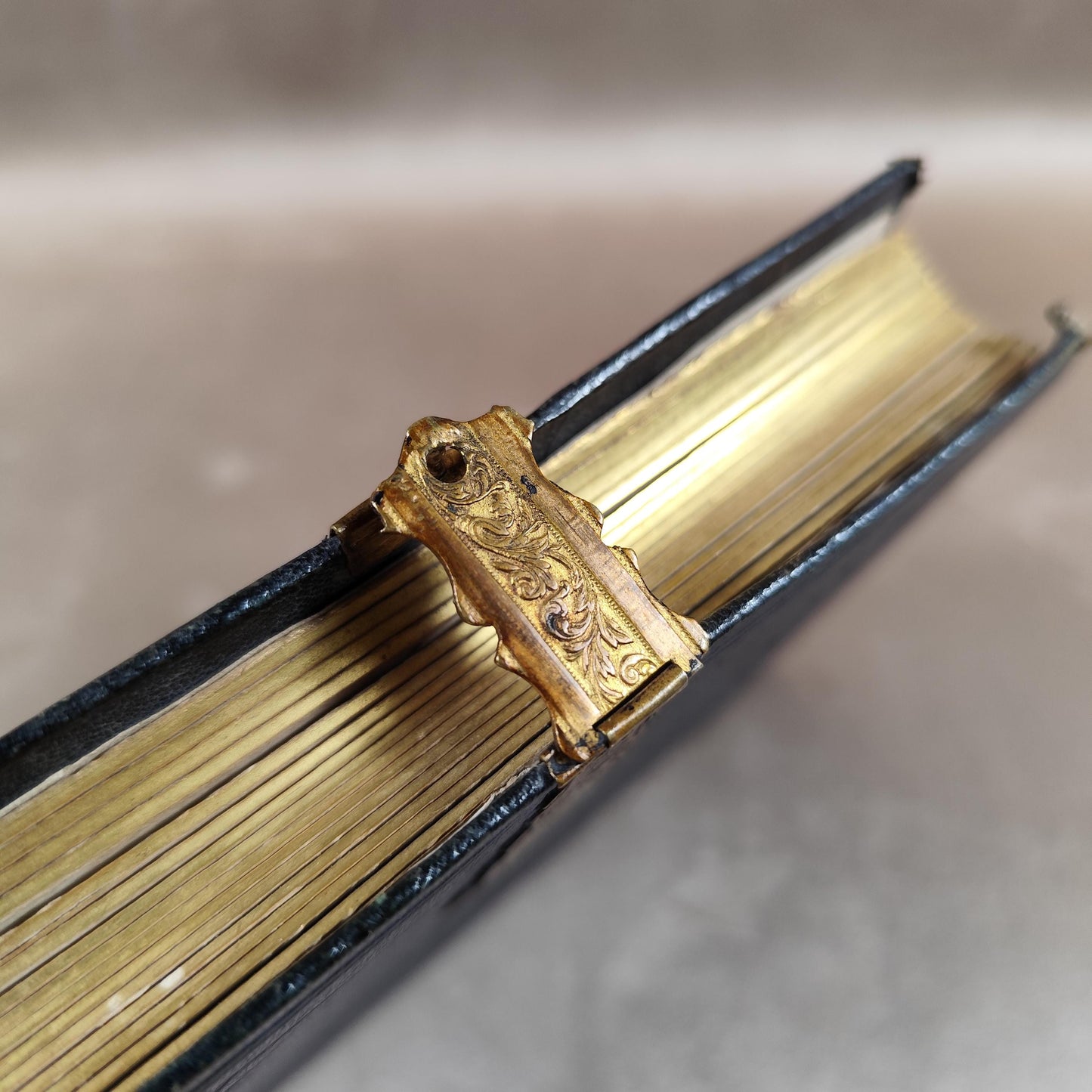 Album photo ancien en cuir avec fermoir en laiton Fin XIXe siècle Photographies anciennes