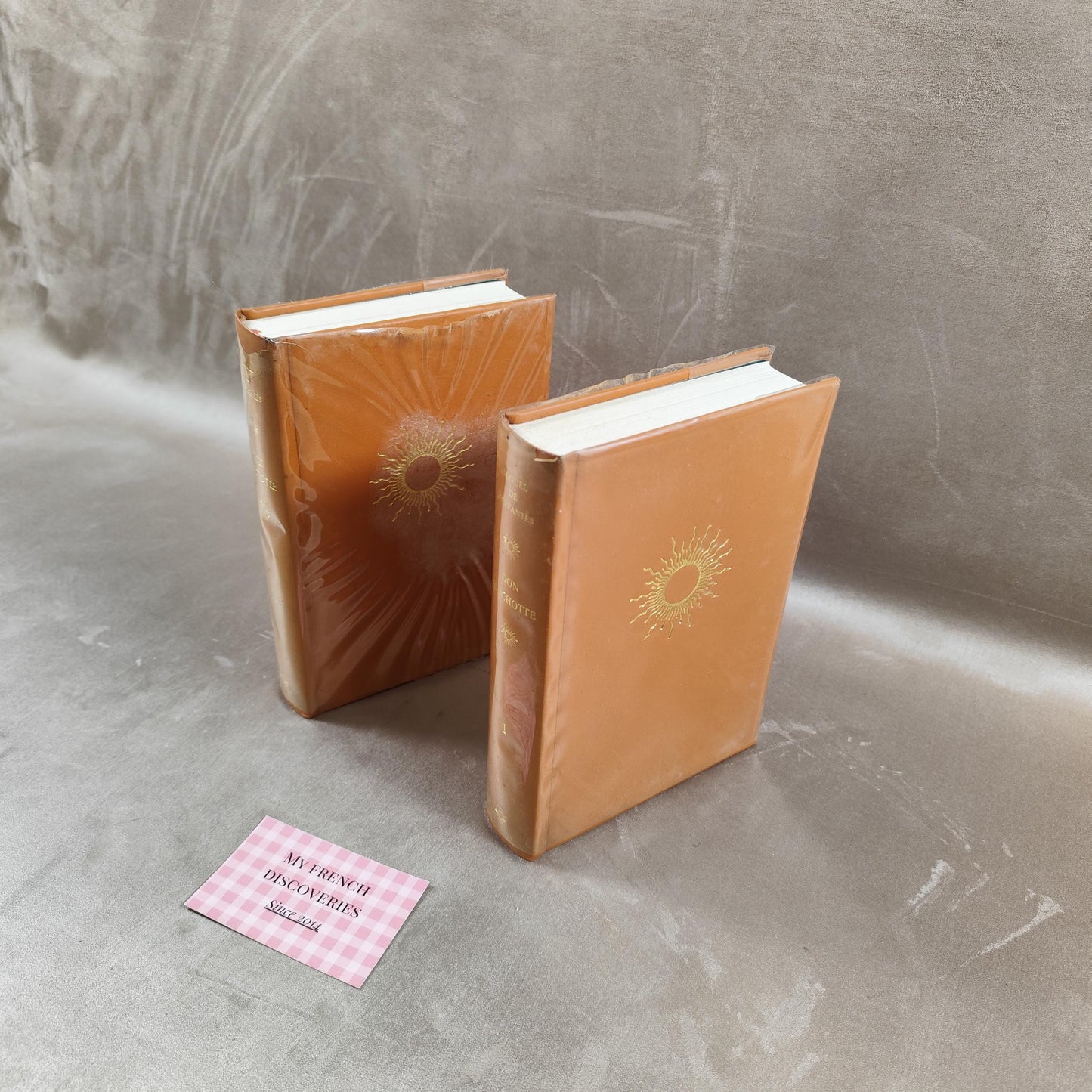 Don Quichotte Miguel de Cervantès Édition numérotée en 2 volumes Collection Les 100 Chefs-dœuvre