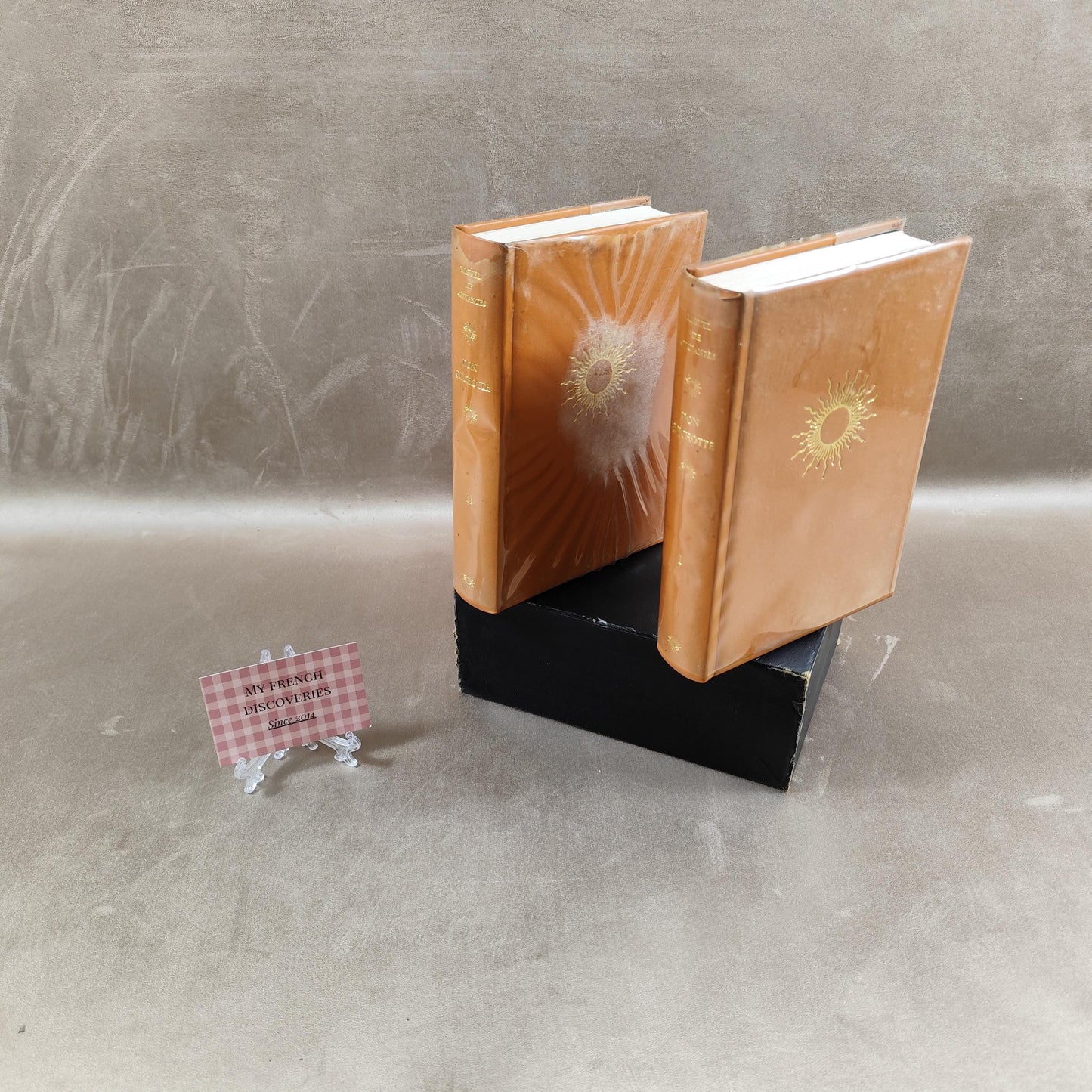 Don Quichotte Miguel de Cervantès Édition numérotée en 2 volumes Collection Les 100 Chefs-dœuvre