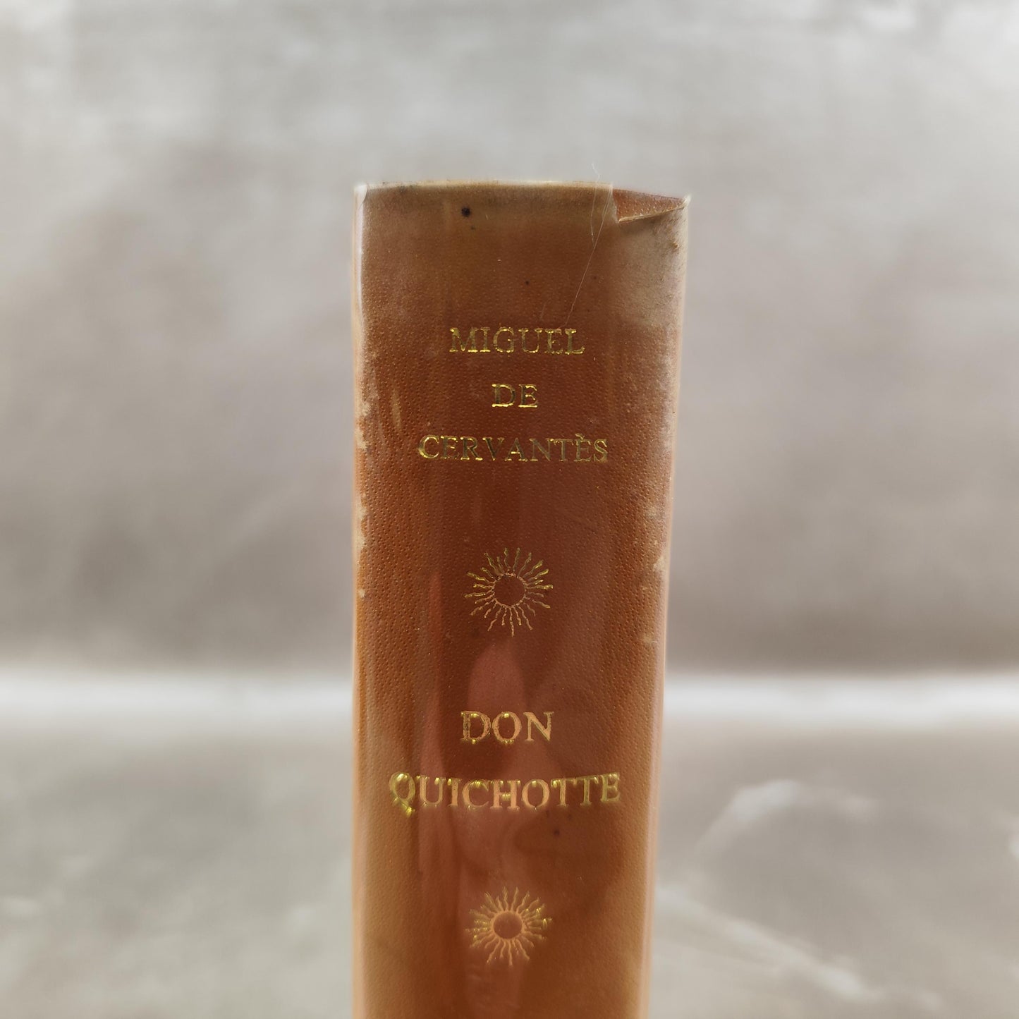 Don Quichotte Miguel de Cervantès Édition numérotée en 2 volumes Collection Les 100 Chefs-dœuvre